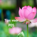 PDS 3 belangrijke tips
