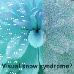 Wat is het visual snow syndrome?