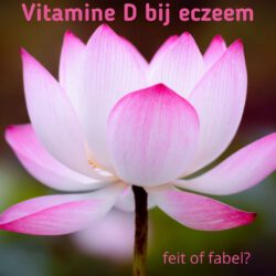 Vitamine D bij eczeem - feit of fabel?