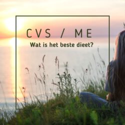 CVS / ME wat is het beste dieet?