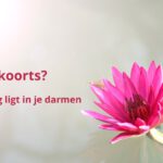 Hooikoorts? De oplossing ligt in je darmen