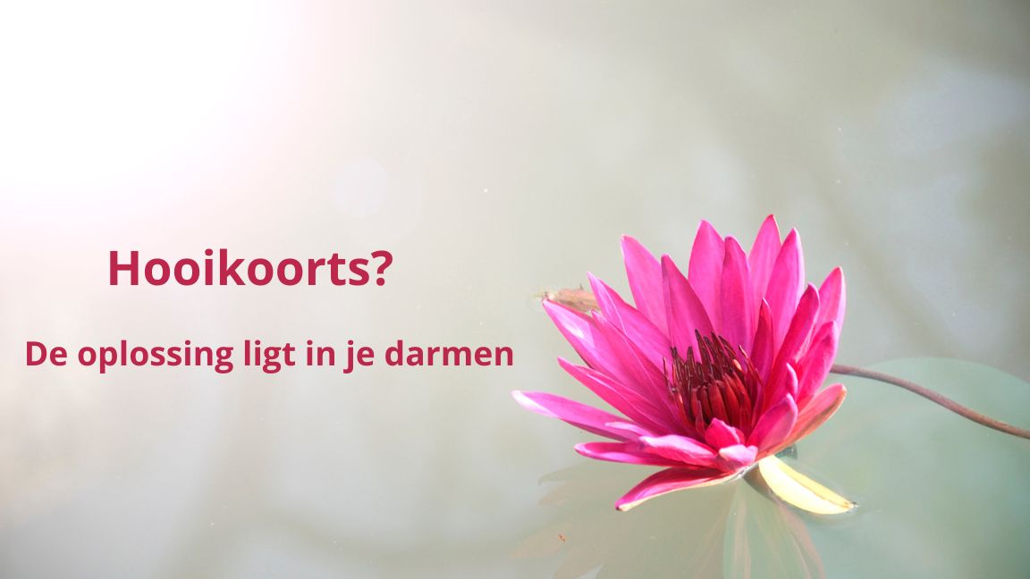 Hooikoorts? De oplossing ligt in je darmen