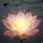 Huishouden met chronische vermoeidheid